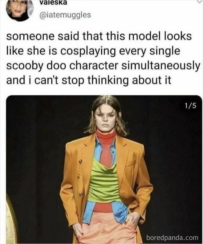 A fashion model wearing an eclectic outfit, inspiring funny oddly specific roasts.