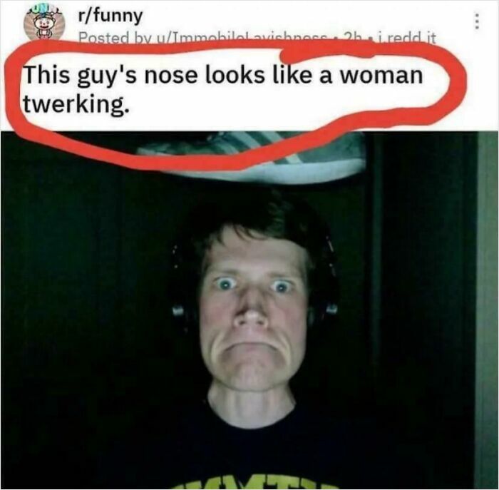 A funny oddly specific roast comparing a man's nose to a woman twerking, highlighted in a red circle.