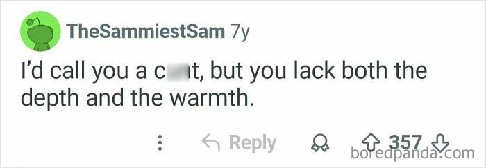A screenshot of a comment with a witty insult, I'd call you a [c_nt], but you lack both the depth and the warmth, a funny oddly specific roast.