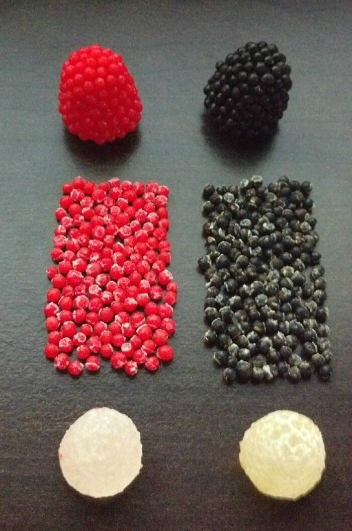 Assortment of candies resembling berries, absolutely unhinged and ridiculous in their realistic shapes.