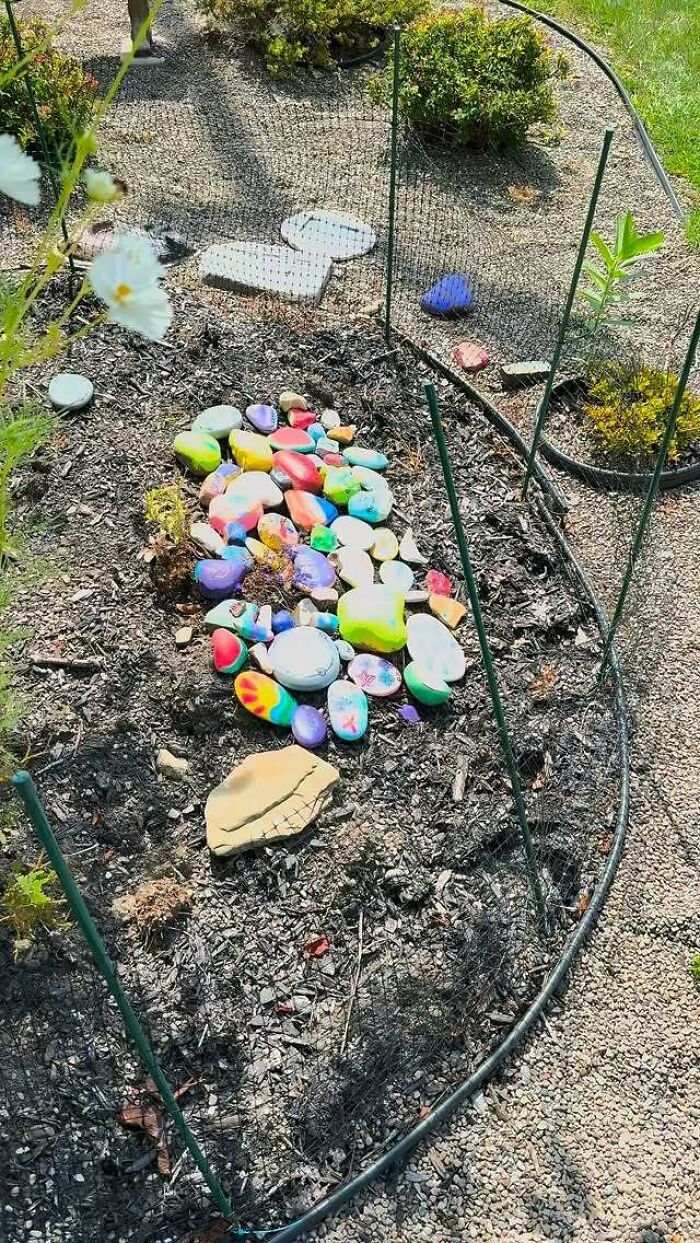 A garden patch filled with colorful painted rocks, a dream translated into a real deal, a sign from the universe.