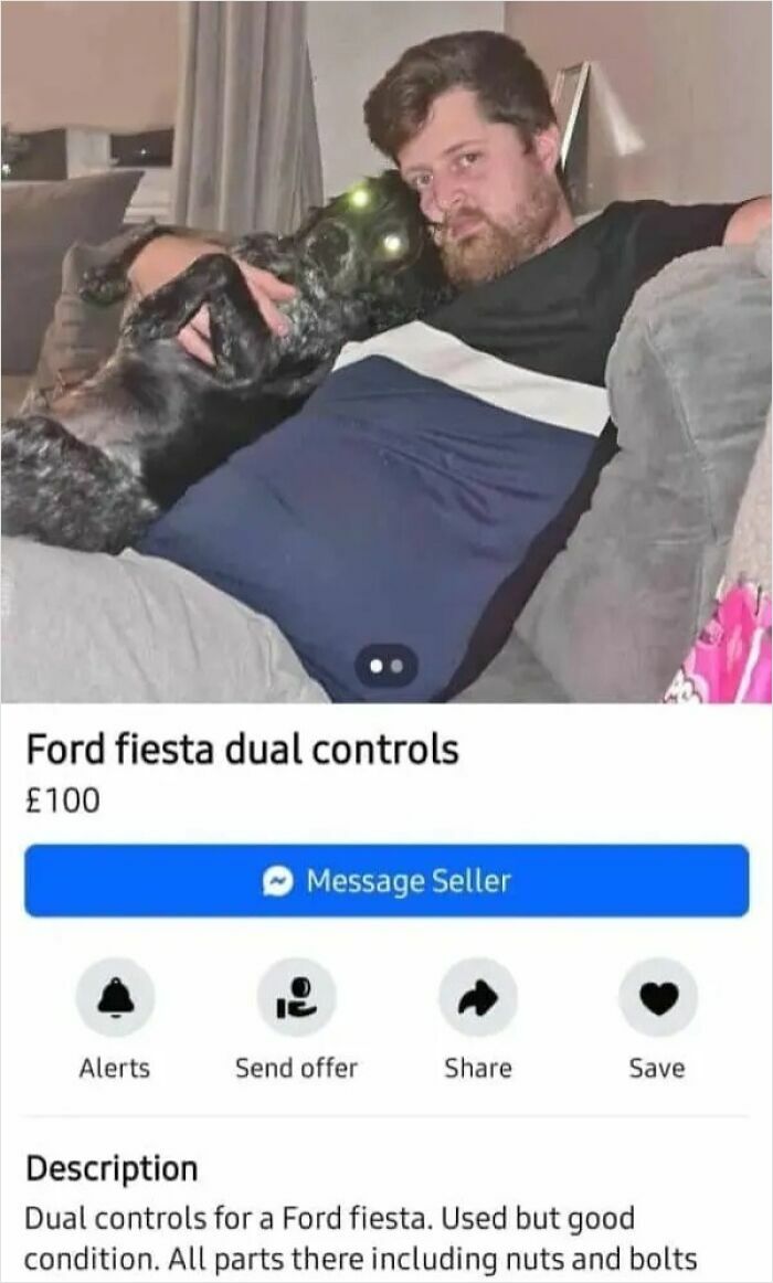 A man with a dog whose eyes glow green in a photo, selling Ford Fiesta dual controls, part of weird online marketplace screenshots.
