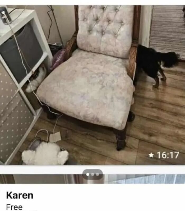 Online marketplace screenshot showing a free chair offered by Karen, highlighting weird items found on online marketplaces.