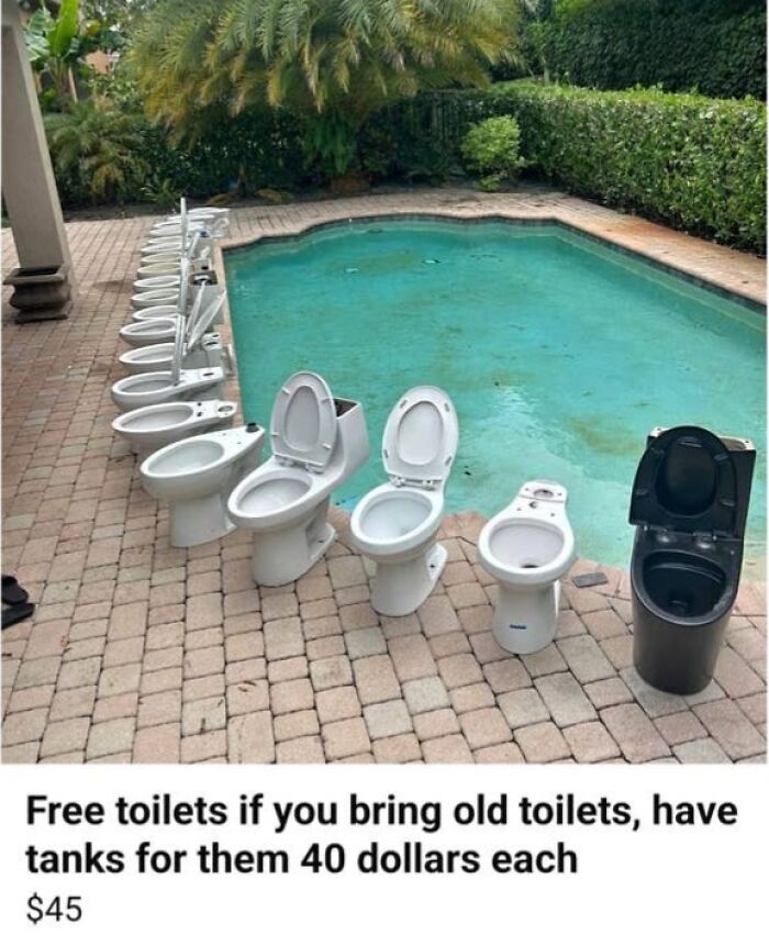 A peculiar online marketplace listing shows a row of free toilets by a swimming pool, offering them if you bring old ones.