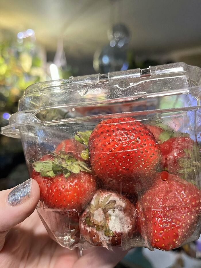 A hand holds a plastic container of strawberries, one of which is visibly moldy, showcasing questionable Instacart shopper practices.