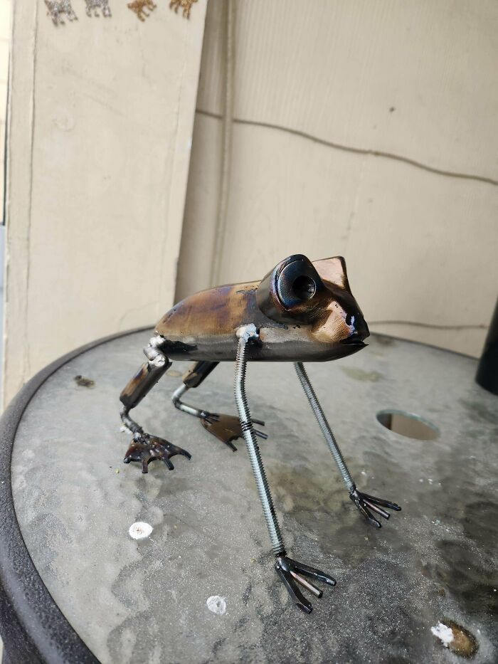 The GF Wanted A Frog So I Did My Best