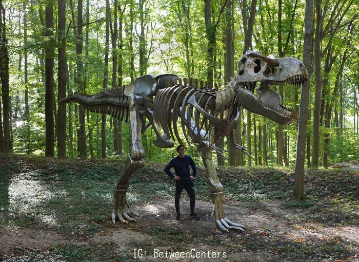 Thought Everyone Here Might Appreciate This Steel T-Rex Skeleton I Made Summer. It’s Construction From Sheet Metal Panels Tack Welded Together And Built Around A Tubing Frame