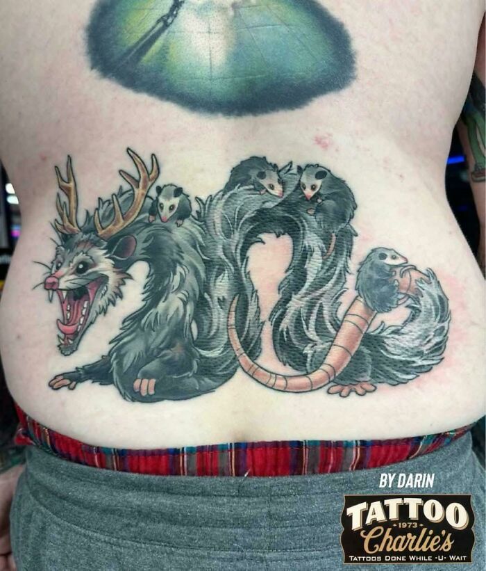 A detailed back tattoo of a possum-dragon hybrid with babies, an awful idea executed with skill.