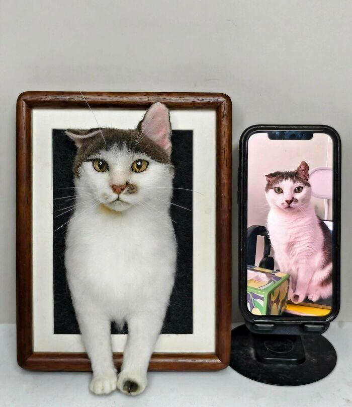 An amazing craft of a 3D felt cat portrait next to a photo of the real cat.