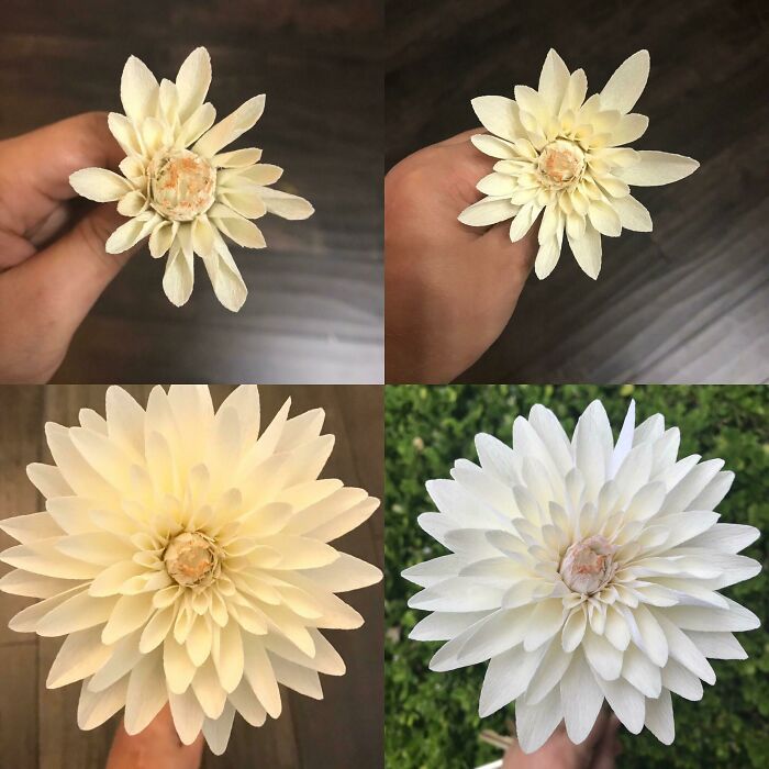 Four images show the progression of a handmade white paper flower craft, from small to a large, full bloom.