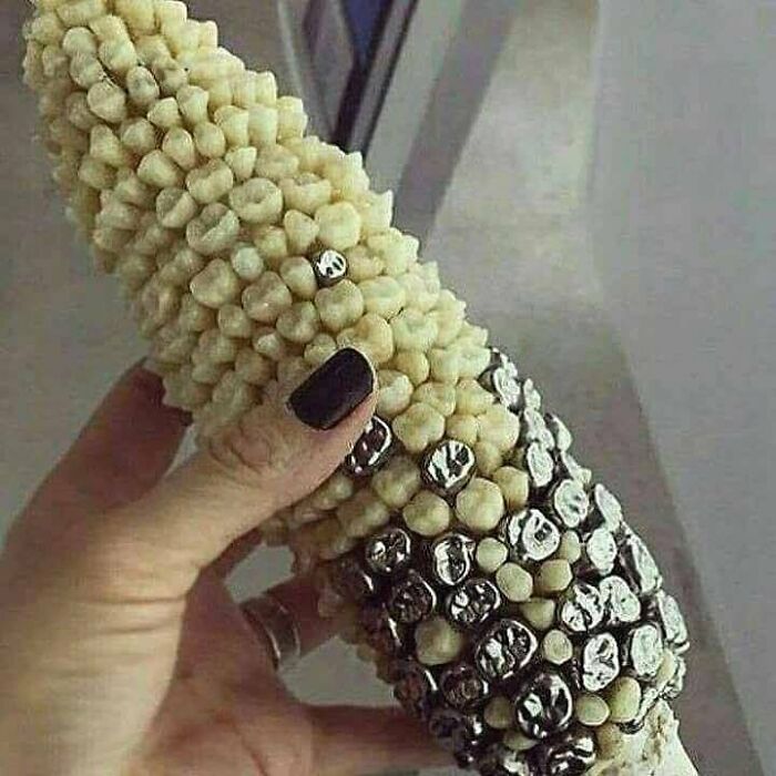 A hand holding a corn cob with human teeth embedded in the kernels and metal caps, an example of awful ideas.