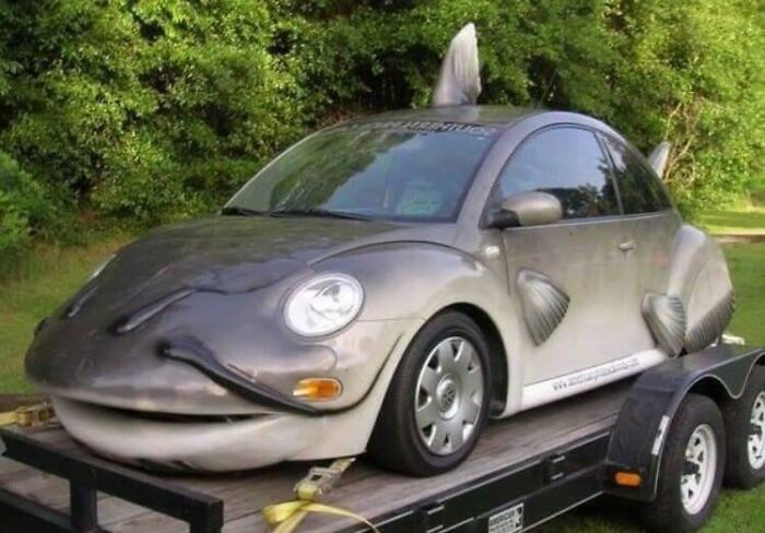 A car modified to look like a catfish, an awful idea showcasing disturbing levels of skill.