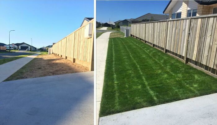 Before and after pics of a DIY landscape project, transforming a bare patch into a lush, green lawn.