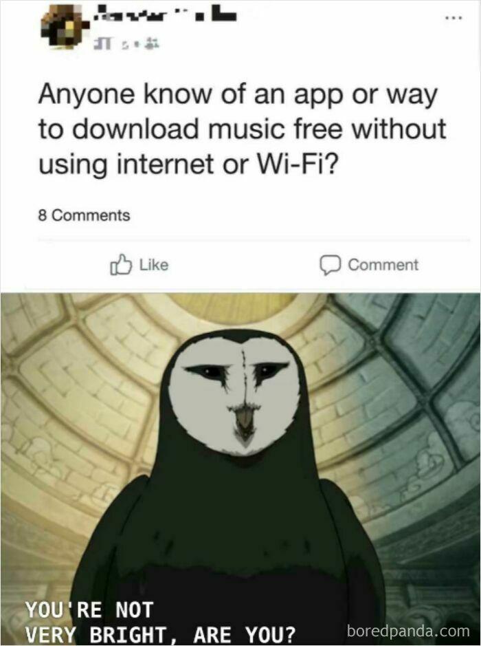 A meme showing a question about downloading music without internet or Wi-Fi, paired with an image stating You're not very bright, are you? highlighting dumb people.