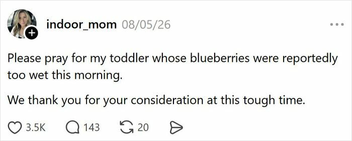 A tweet sharing the comedy of raising kids, specifically a toddler upset about wet blueberries.