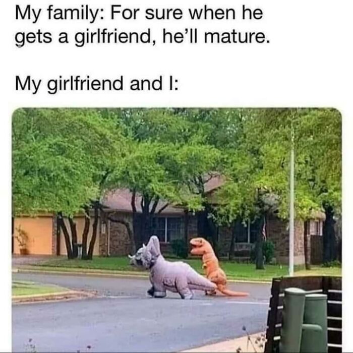 A wholesome post depicting two people in dinosaur costumes walking, humorously showing maturity in relationships.