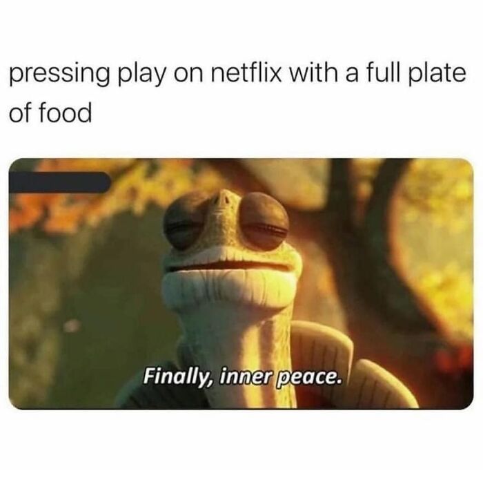 A wholesome post with a meme of Master Oogway, expressing inner peace while watching Netflix with a full plate of food.