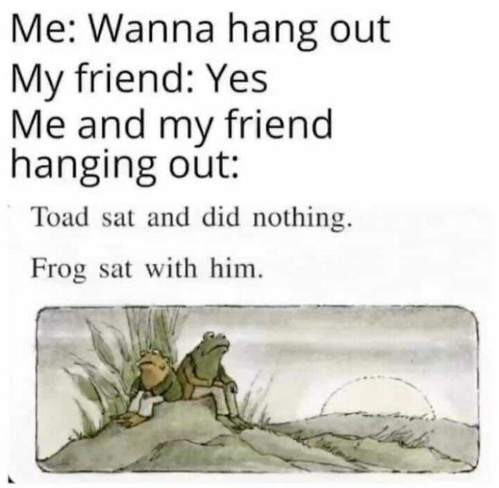A wholesome post showing a meme with a drawing of Frog and Toad sitting quietly together, representing hanging out.