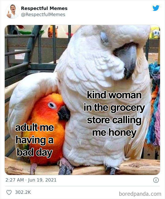 A wholesome meme of two parrots, one comforting the other, symbolizing a tiny break from a bad day.