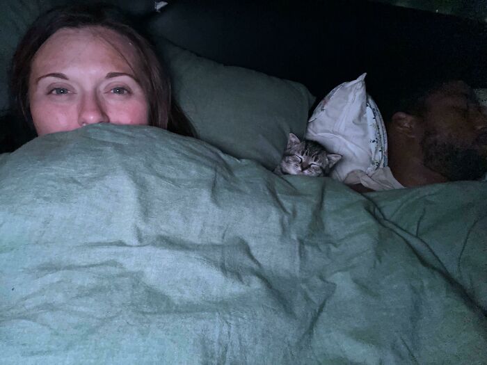 A woman, a man, and a tiny kitten snuggled under a green blanket, a wholesome post showing comfort.