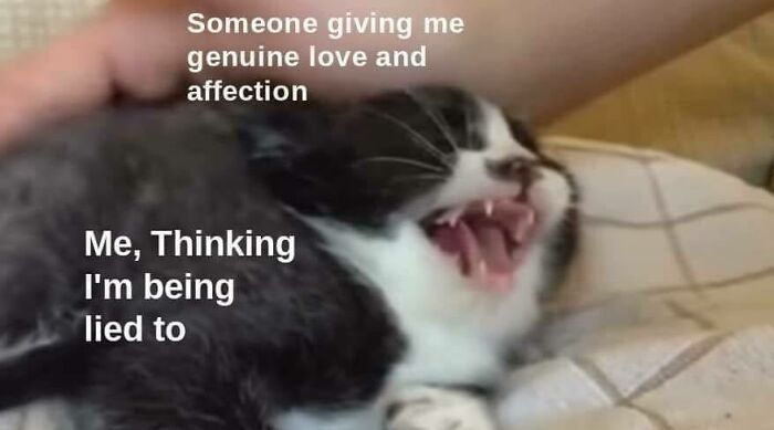 A fluffy black and white kitten with its mouth wide open, acting as a wholesome post about receiving genuine love.