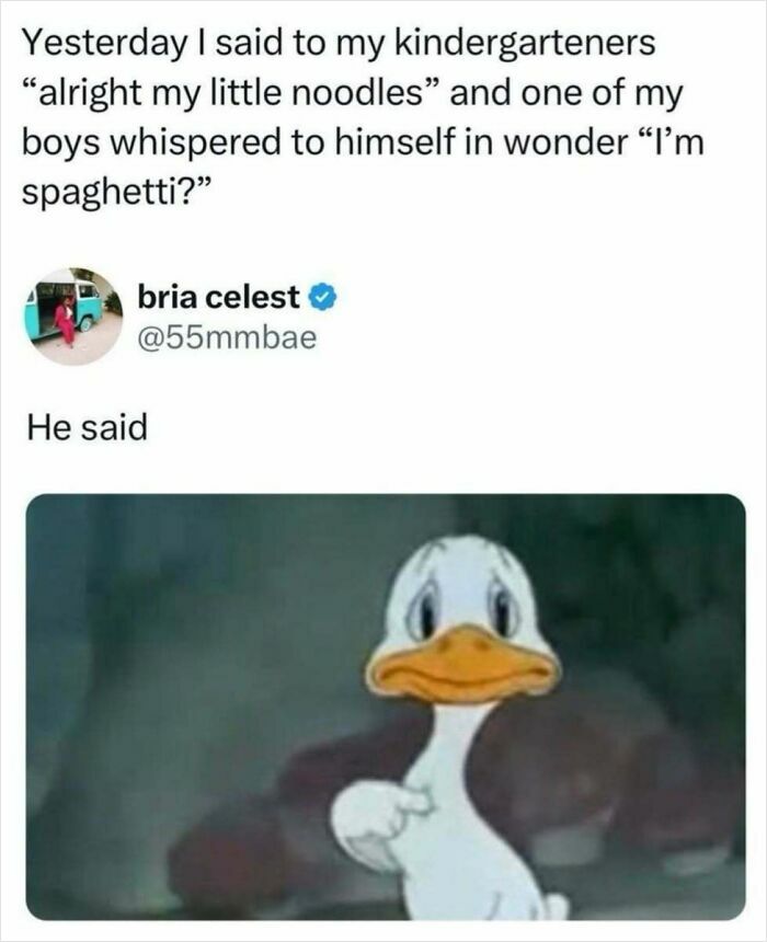 A funny animal meme featuring a sad duck expressing the sentiment of a child who thinks he is spaghetti.