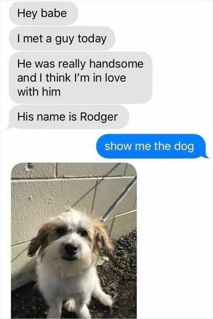 A funny animal meme showing a text conversation and a cute dog named Rodger.