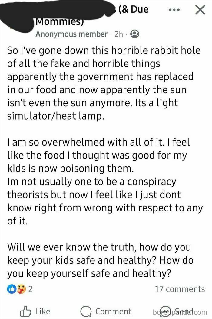 Screenshot of a Facebook post from a parenting group discussing feeling overwhelmed by conspiracy theories about food and the sun, questioning how to keep kids safe.
