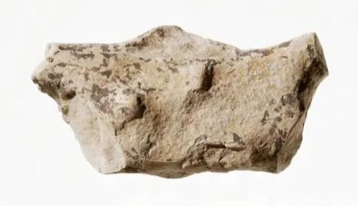 A textured fragment of pottery or stone, a simple yet resilient historical artifact that survived against the odds.