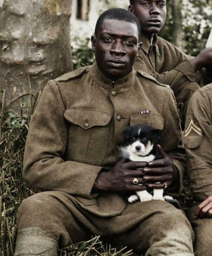 Fascinating American History photo: A soldier holds a small puppy, looking directly at the camera.