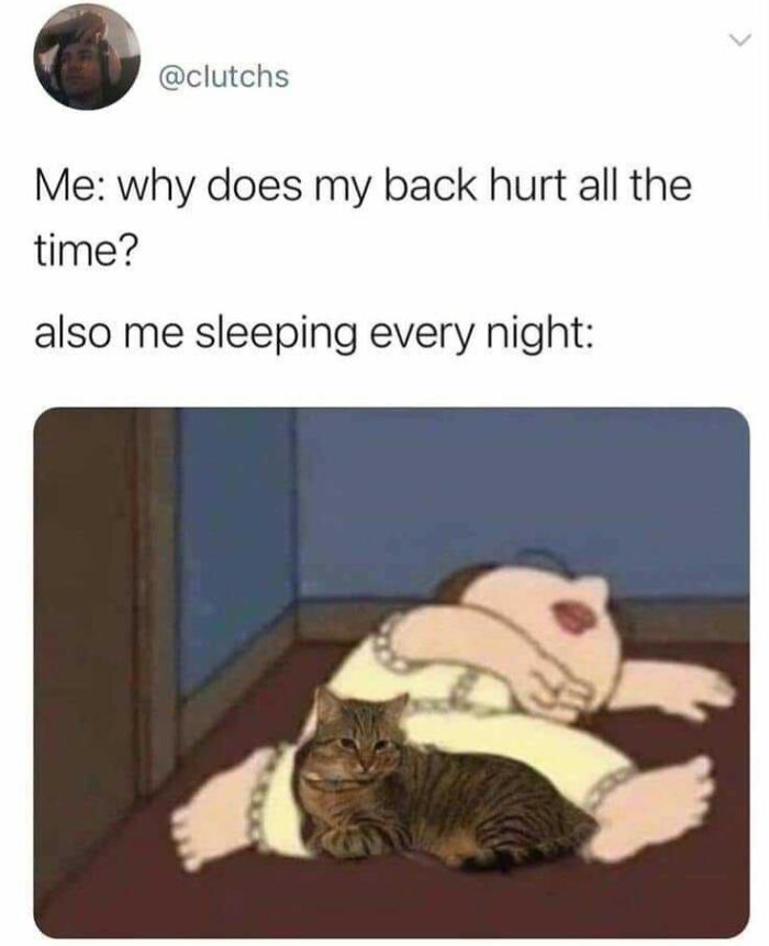 Wholesome posts portray a meme of a person sleeping in an awkward position with a cat, humorously causing back pain.