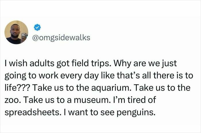 A tweet by @omgsidewalks about adults wanting field trips to aquariums or zoos. A pop culture post for instant good vibes.