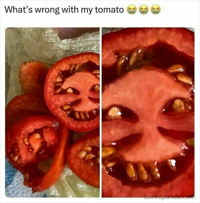 A sliced tomato showing a face, resembling pop culture posts for good vibes.