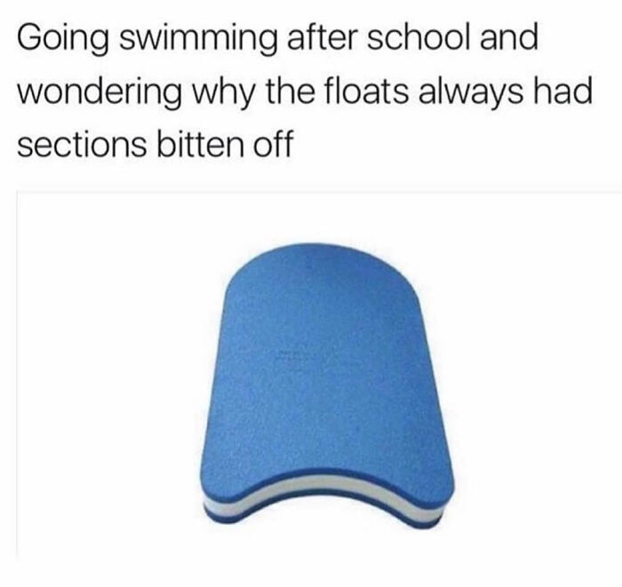 A British meme featuring a blue kickboard with bite marks, questioning why floats were bitten.