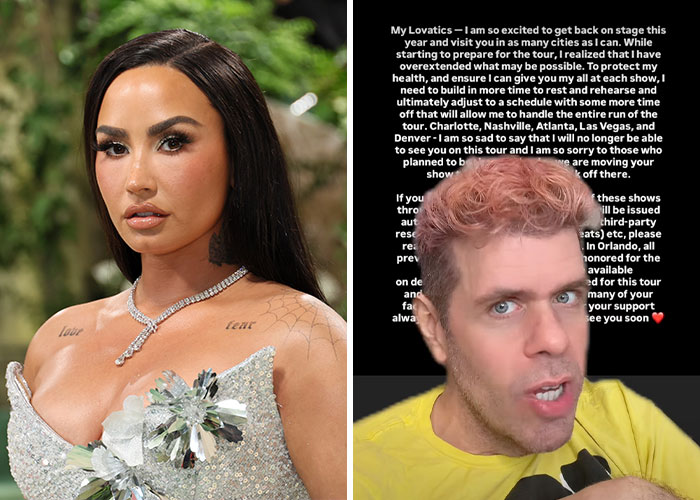 Demi Lovato, a female star targeted by the celebrity blogger whose live graphic mental breakdown shocked the world.