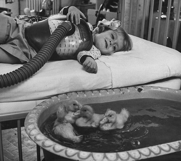 Vintage photo of a young girl lying in bed with ducks in a basin, illustrating animals stealing the spotlight.