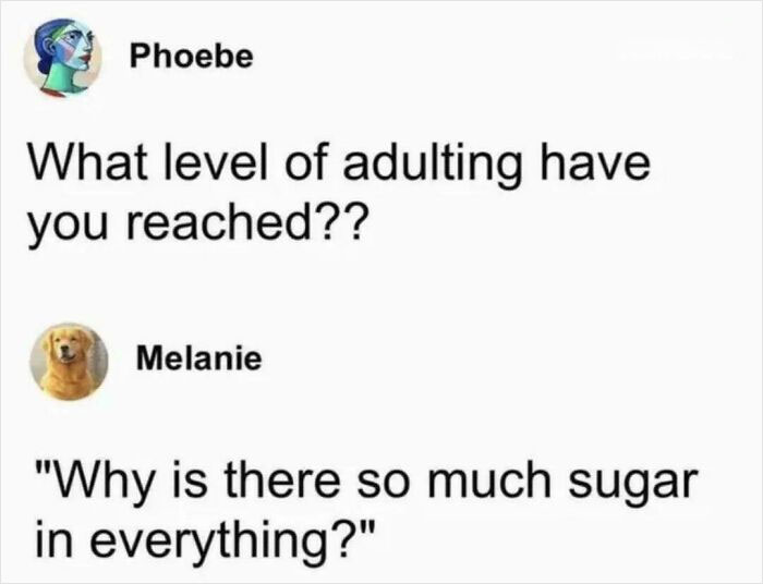 A meme displaying a conversation about random jokes, asking 'What level of adulting have you reached??' with a funny response.