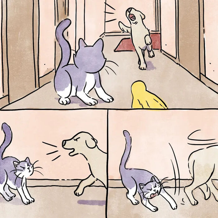 A comic of a gray cat and a barking dog in a hallway, perfectly capturing life with pets. A comic of a gray cat and a barking dog in a hallway, perfectly capturing life with pets.
