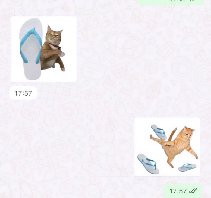 A funny cat meme illustrating an orange cat playing with flip-flops in a text message conversation.