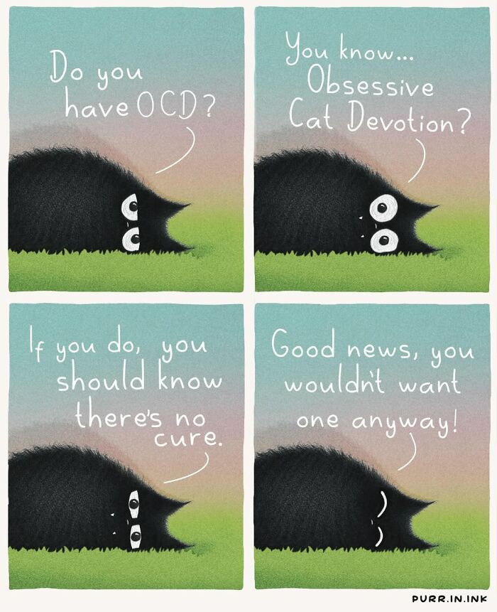 Adorable illustrations of cat behavior, a comic strip about Obsessive Cat Devotion featuring a black cat.