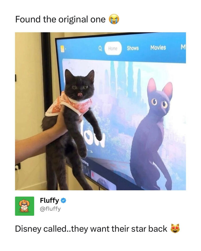 Grey cat meme wearing a shirt, mimicking a cartoon cat on TV, from wholesome animal memes.