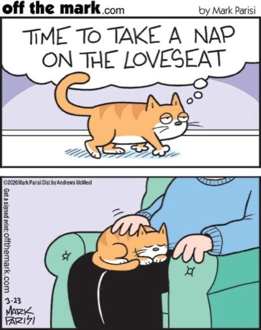 Cats Turn Everyday Chaos Into Comedy In These 36 New Cartoons By Mark Parisi