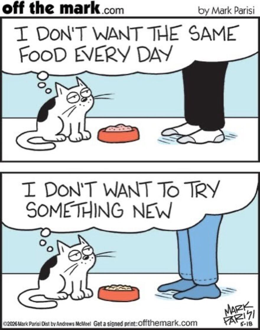 Cats Turn Everyday Chaos Into Comedy In These 36 New Cartoons By Mark Parisi