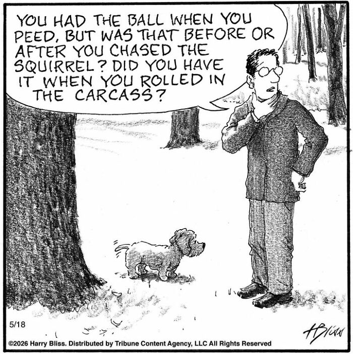A Harry Bliss dog comic showing a man questioning his small dog about a ball, squirrel, and carcass in a forest.