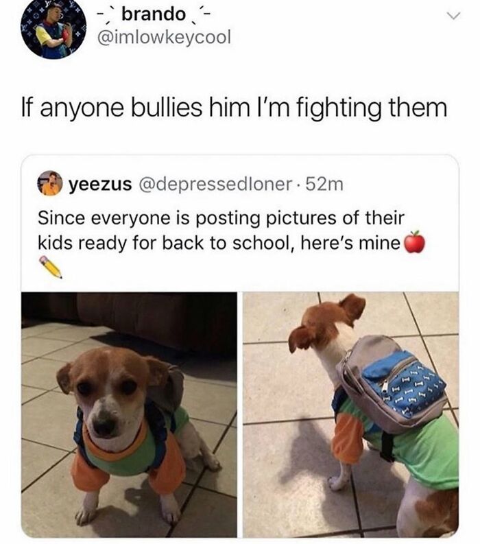 A small dog wearing a shirt and a backpack, presented as a kid ready for back to school, a funny dog meme.