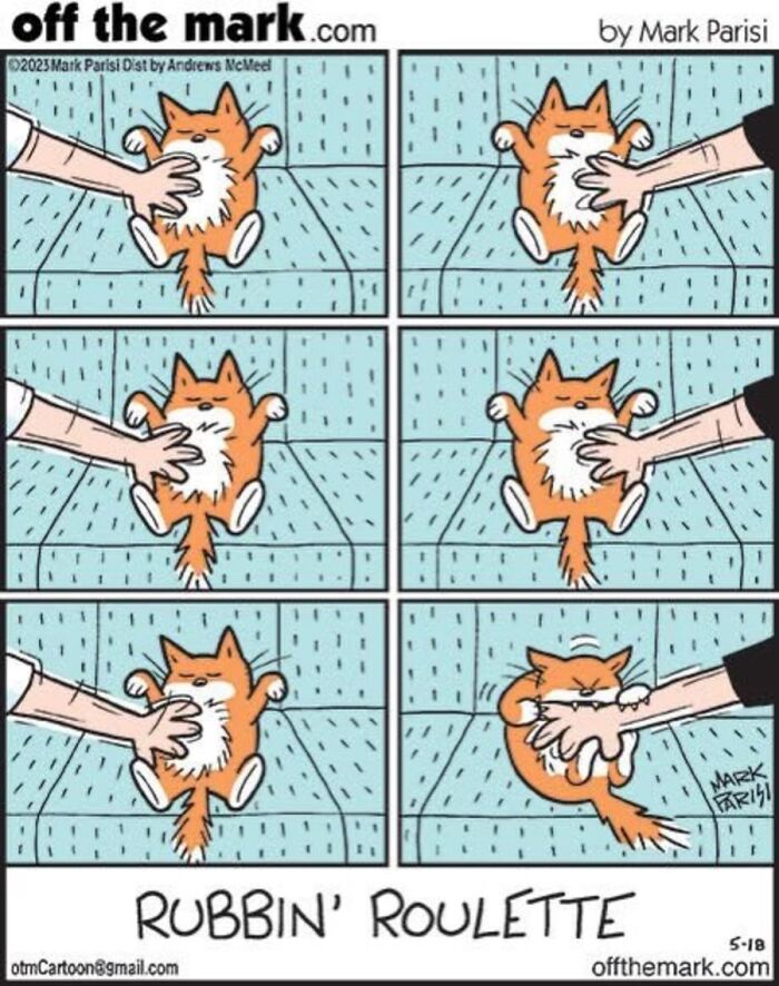702781370_18422495194135612_234532581960