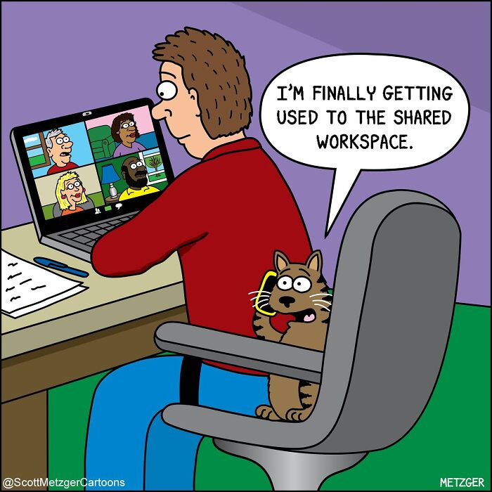 A man working on a laptop with a cat on the back of his chair, illustrating relatable comics.