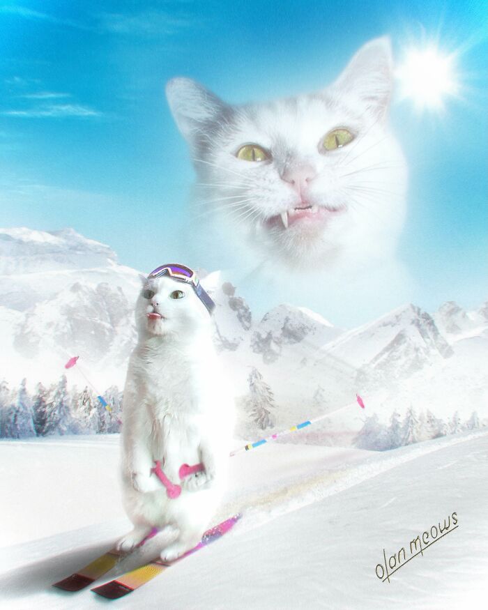 Hilarious '80s portrait treatment of pets featuring a white cat skiing with another cat's face in the background.