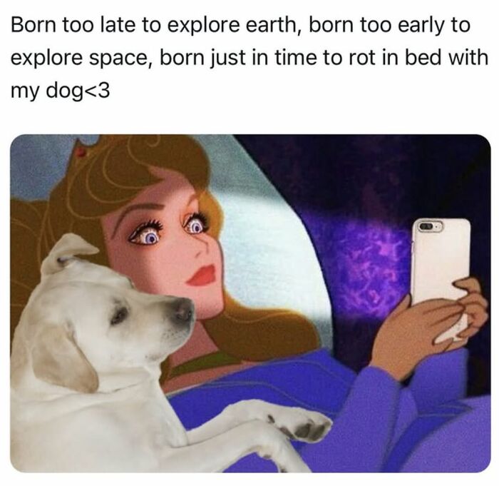 A meme showing a Disney princess taking a selfie with her dog, captioned about rotting in bed with your dog.