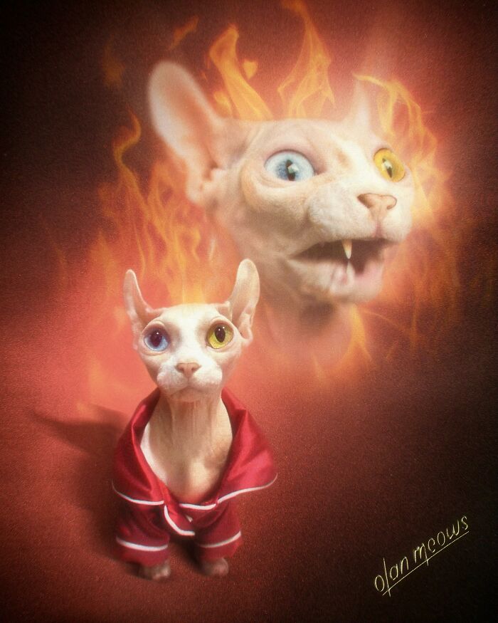 Over-the-top 80s portrait of a sphinx cat in a red robe with flames, offering a hilarious pet treatment.